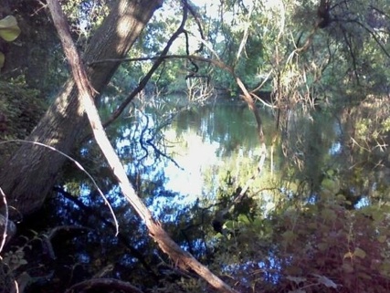 Bowie's Pond in Colonial Beach Bowie's Pond in Colonial Beach