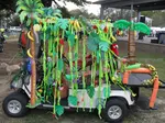 2017 Golf Cart Rainforest