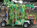 2017 Golf Cart Rainforest
