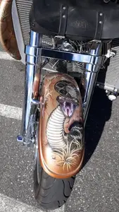 Motorcycle with cobra paint job