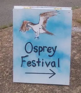 Osprey Fest arrow sign