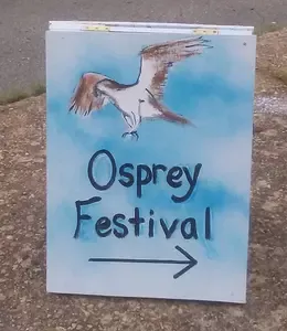 Osprey Fest arrow sign