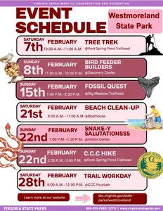2026 February events at WSP