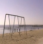 Colonial Beach Swings