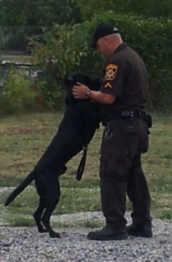 K-9 Unit