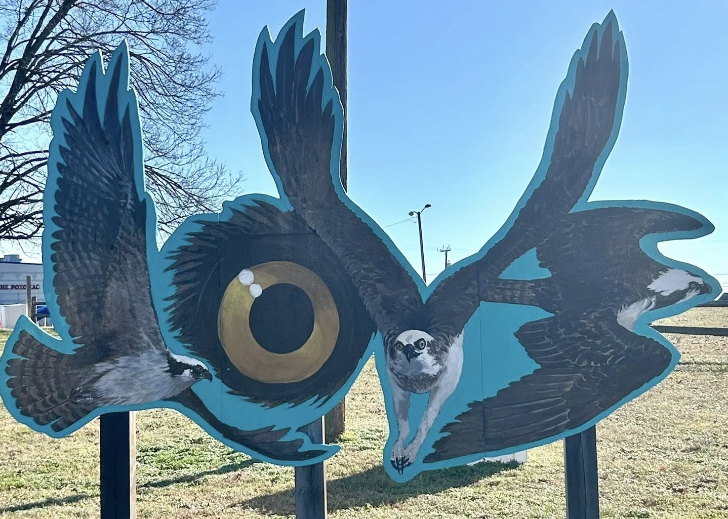 Osprey LOVE sign town hill