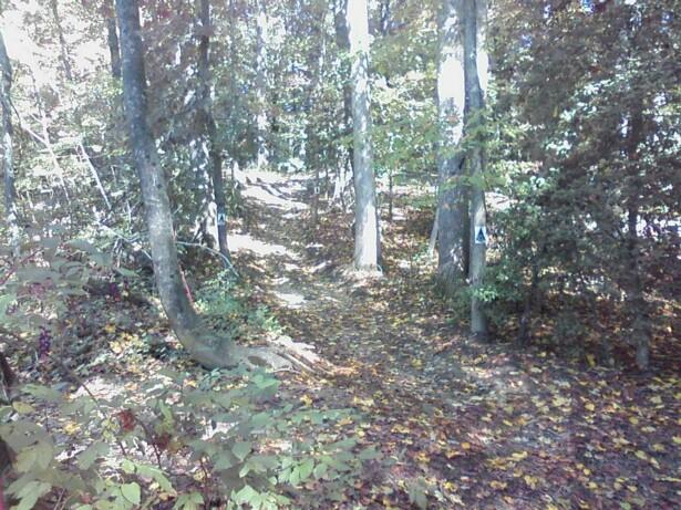 Wooded Trails at NNK ATV Park