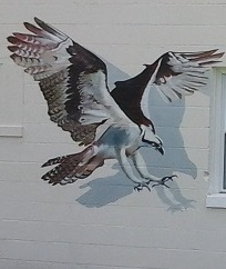 Osprey Mural