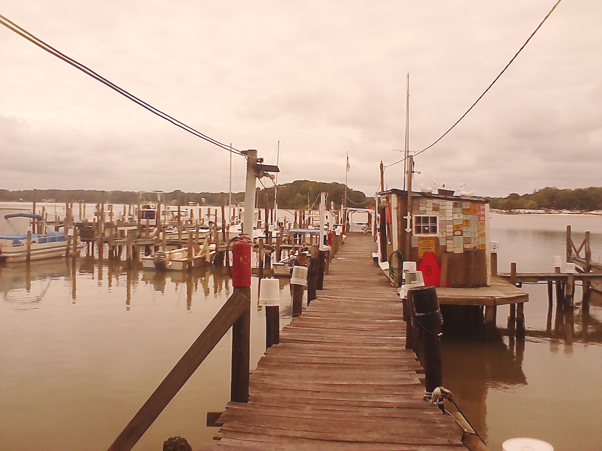 Parker's Marina