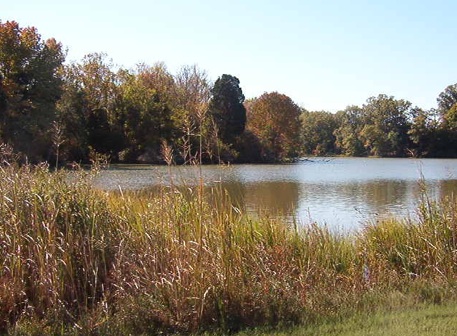 View of the creek at Potomac Crossing, Colonial Beach