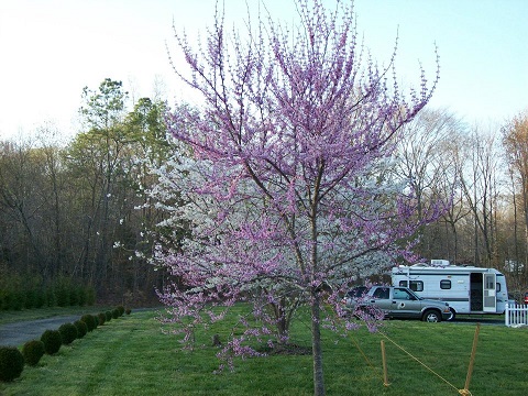RV Park Reviews