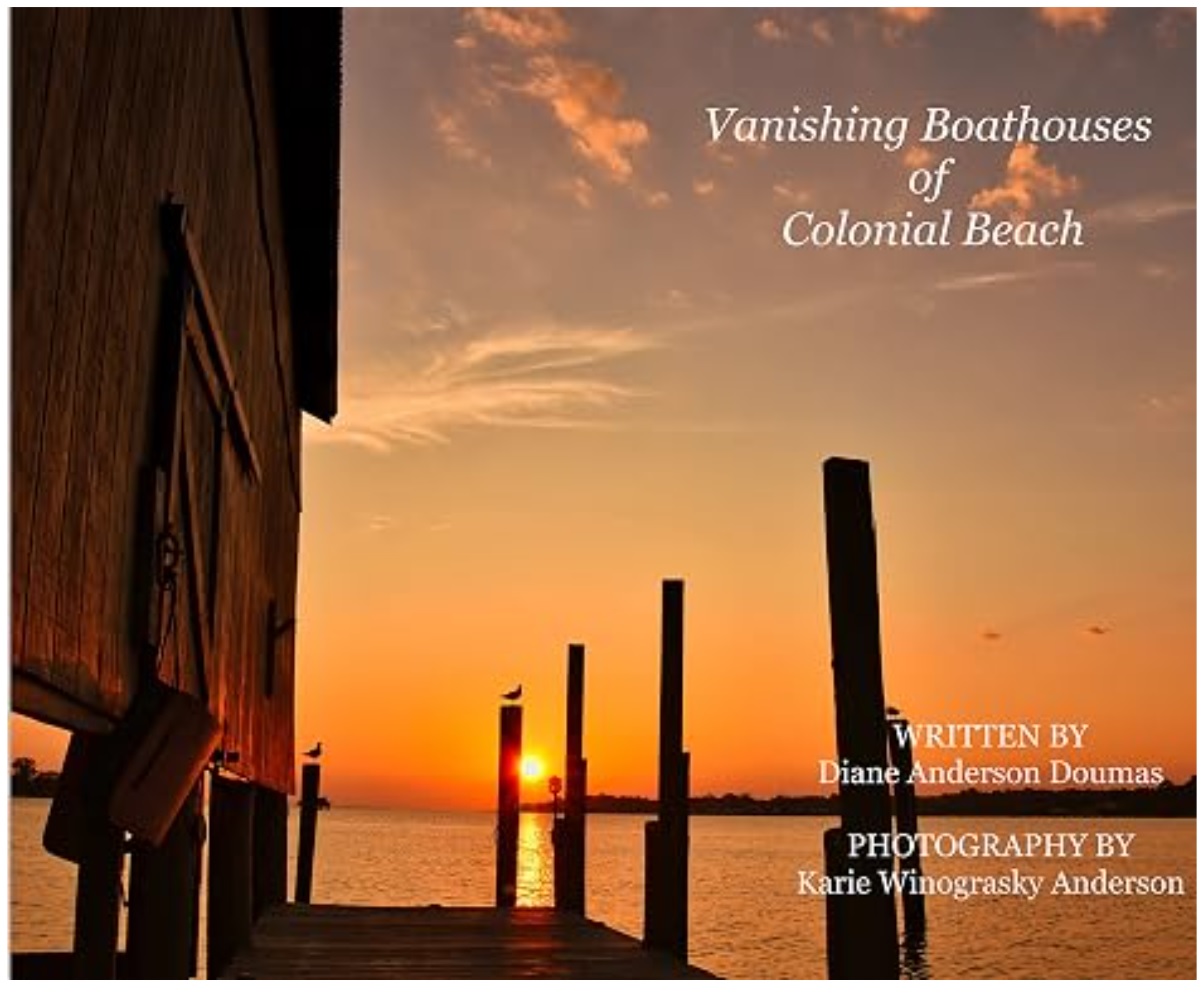 Vanishing Boathouses book cover