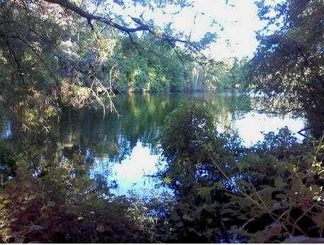 Colonial Beach Fishing - Bowie's Pond