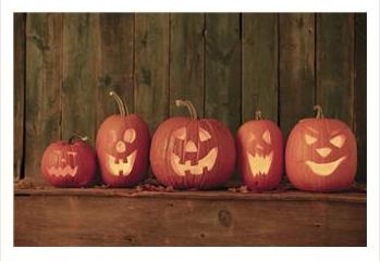 Row of jack o lanterns