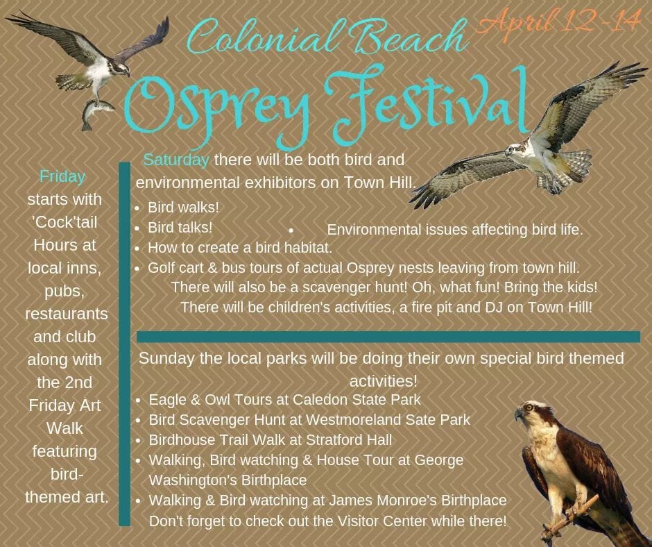 Osprey Festival flyer