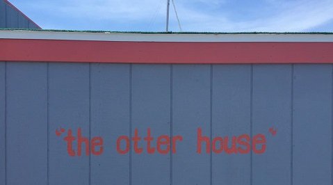 otter house lettering