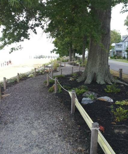 Trees along Riverwalk