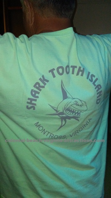 Sharks tooth island shirt