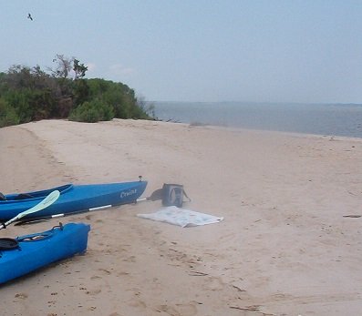 kayaks on sharks tooth island