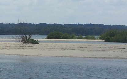 Sharks Tooth Island