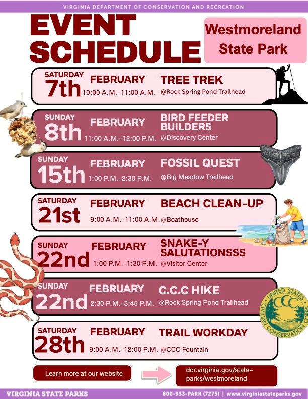 2026 February events at WSP